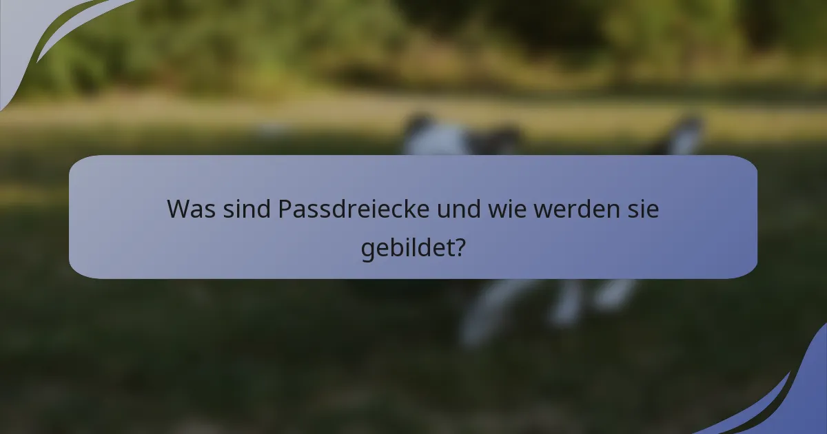 Was sind Passdreiecke und wie werden sie gebildet?